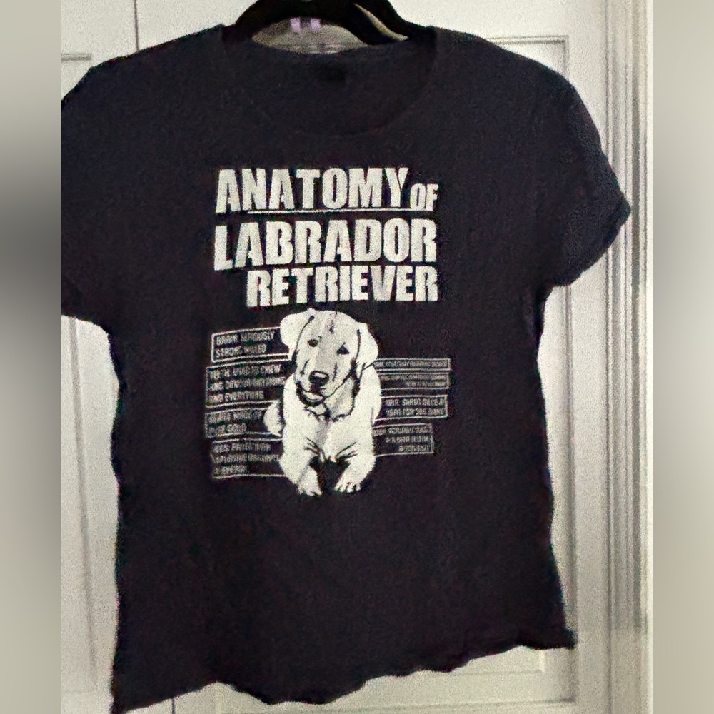 Anvil Black and White Labrador Retriever Anatomy Tee